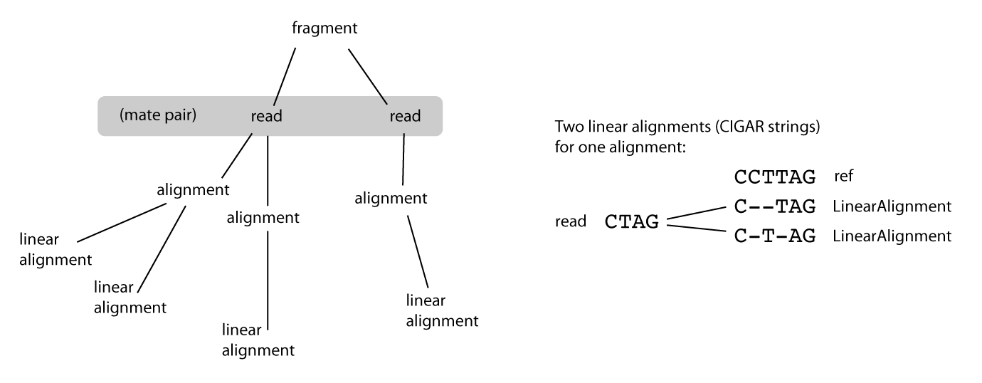 ../_images/read_alignment_diagrams.png
